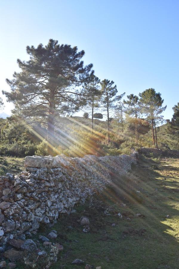 Вилла Domaine U Filanciu - Casa Chiara - Centru Di Corsica Moltifao Экстерьер фото